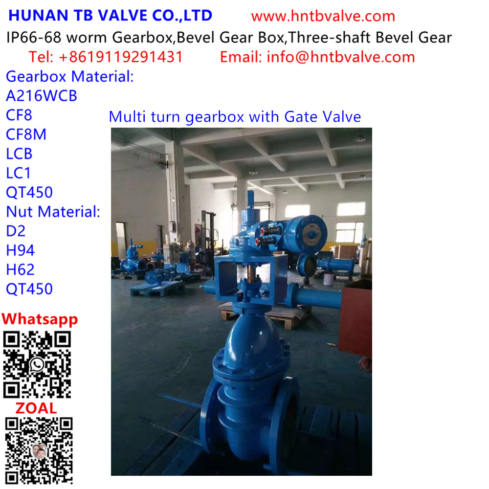 Multi turn gearbox with Gate Valve